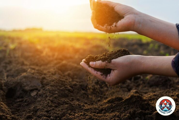 stewardship projects