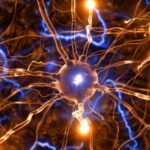 Brain with a flashing warning light