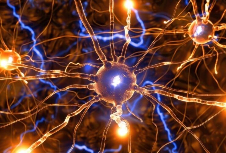 Brain with a flashing warning light