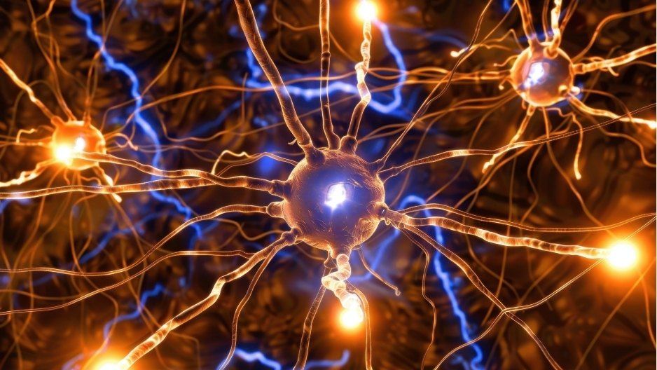Brain with a flashing warning light