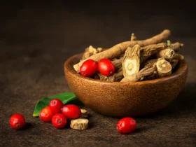 Ashwagandha plante med røde bær og tørket rot
