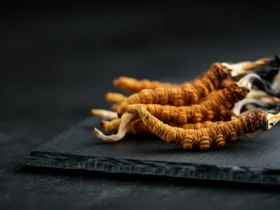 Tørkede cordyceps-sopper (Ophiocordyceps sinensis) for utholdenhetsstøtte