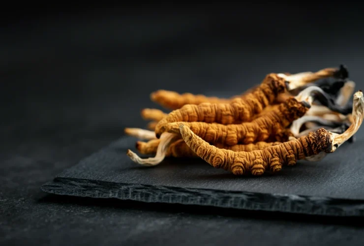 Tørkede cordyceps-sopper (Ophiocordyceps sinensis) for utholdenhetsstøtte