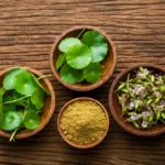 Gotu kola, bacopa og brahmi — tre eldre adaptogener for kognisjon