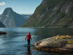 Sommer-vinterbading i Lofoten-fjord under midnattssolen