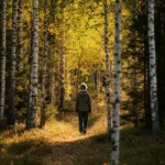 Person går sakte gjennom tett norsk bjørkeskog om høsten med filtrert sollys