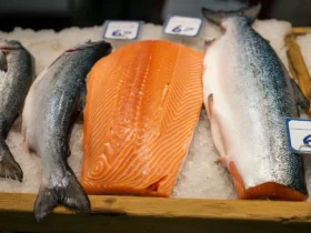 Villaks og oppdrettslaks side om side på norsk fiskebutikk